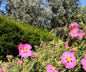 ©mairie-Saint-Nazaire