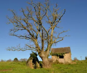 ©MairieDeGrandchamp