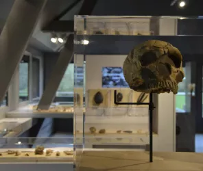 Musée de Préhistoire - Vallée des grottes de Saulges