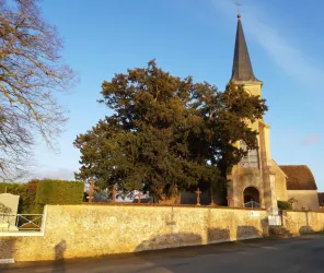 OT Maine Saosnois- CN