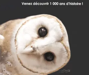 Copyright : Château de Talmont