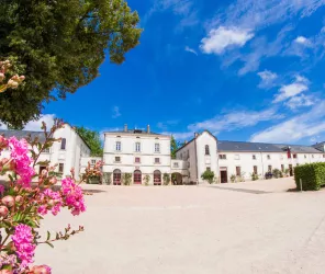 © Melanie Guillamot