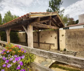 ©Alexandre Lamoureux