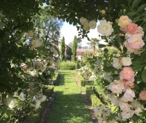 Pauline Gillard-Chevallier