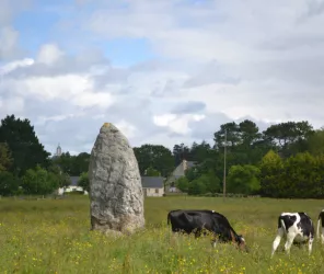 Office de Tourisme entre Brière et Canal
