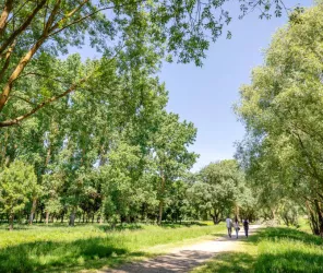 D. Mouraud / Destination Angers