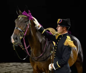 B. Lemaire - Cadre Noir IFCE