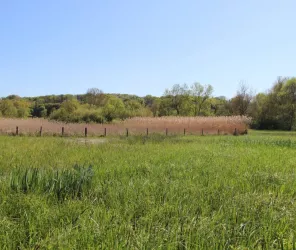 Eric Lantuejoul-CEN Pays de la Loire