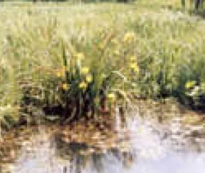 Office de Tourisme de la Vallée de la Sarthe