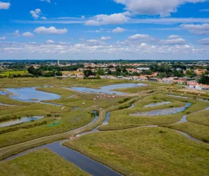 Le photographe du dimanche