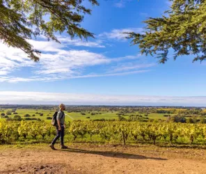  credit Solutions et co -clo et clem jusque 2026