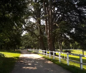 © Office de Tourisme de l'Anjou bleu