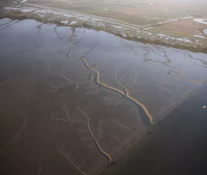 Réserve naturelle nationale de la Baie de l'Aiguillon