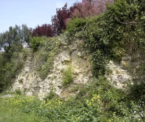 ©officedetourisme-Chaillélesmarais