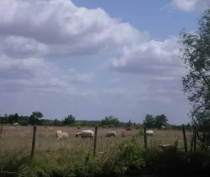 ©officedetourisme-Chaillélesmarais