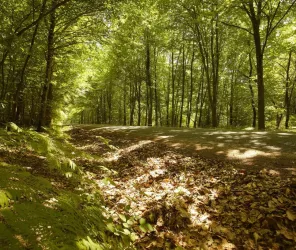 A. Lamoureux - Vendée Expansion