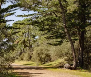 Simon Bourcier Vendée Expansion