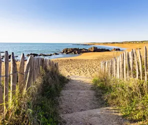 Simon Bourcier Vendée Expansion