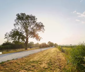 ©alexandre lamoureux