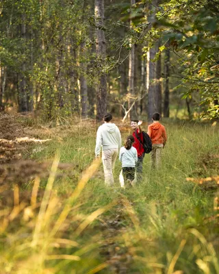 Ungewöhnliche Route zwischen Geschichte und Terroir im Perche Sarthois