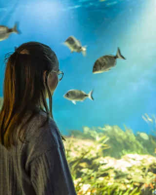 Winterausflug ans Meer, die sanfte Vendée 