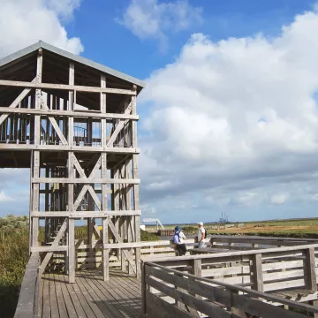 Überraschender Parcours an der Loire-Mündung, wo Kunst auf Natur trifft 