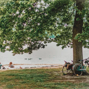 Grüne Flucht in die Sarthe