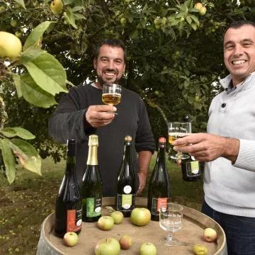 Der Apfelwein des Maine – ein Genuss!