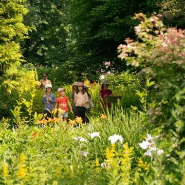 Ein Ausflug in die Mayenne, zwischen geheimen Gärten und vergessenen Dörfern