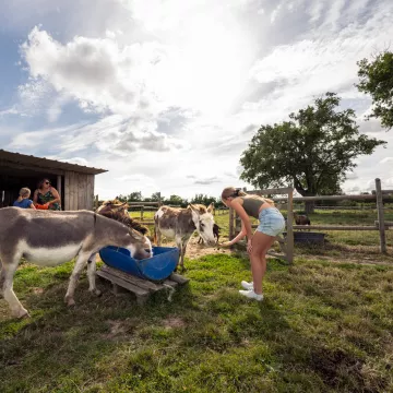Verzauberter Aufenthalt im Herzen der südlichen Mayenne: eine authentische Gourmetreise 