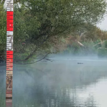 Der ‚Lac de Grand-Lieu’: ein Vogelparadies