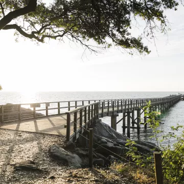 Ein authentischer Gourmet-Ausflug nach Noirmoutier, zwischen Land und Meer 