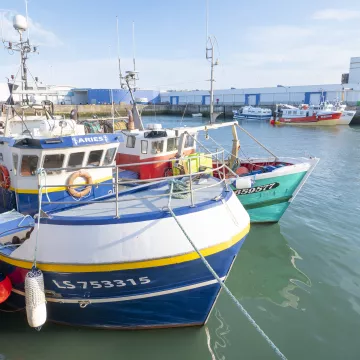 Frühlingsflucht in Saint-Gilles-Croix-de-Vie, das Erwachen der Sinne 