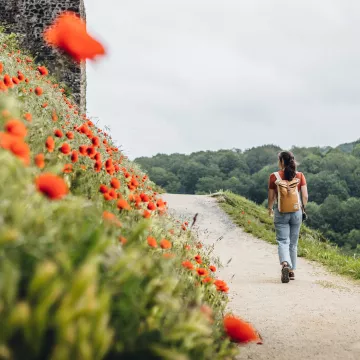 Naturgroße Flucht in den Coëvrons