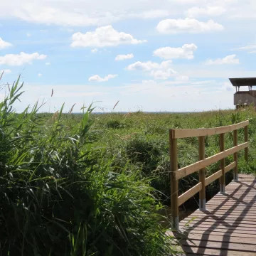 Unternehmungen im Parc Naturel Régional de Brière 