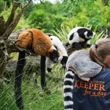 Sarthe: Rendezvous mit dem Unerwarteten