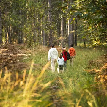 Ungewöhnliche Route zwischen Geschichte und Terroir im Perche Sarthois