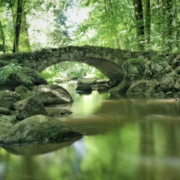 Pontmain, zwischen Kontemplation und Inspiration 