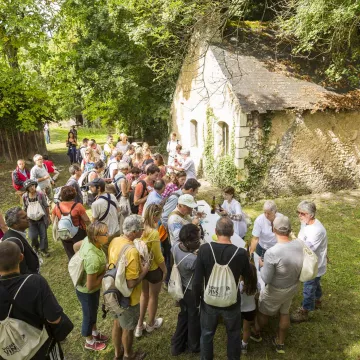 Erstaunliche Events in den Weinbergen!