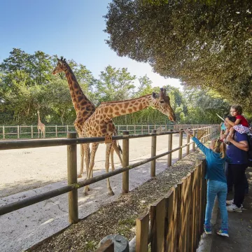 Ausflüge in freier Natur in Les Sables d’Olonne