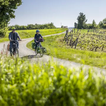 Mit dem Fahrrad durch die Weinberge im Loir-Tal 