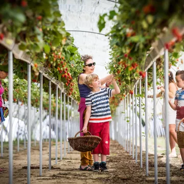Destination Pornic: erliegen Sie seinen regionalen Produkten