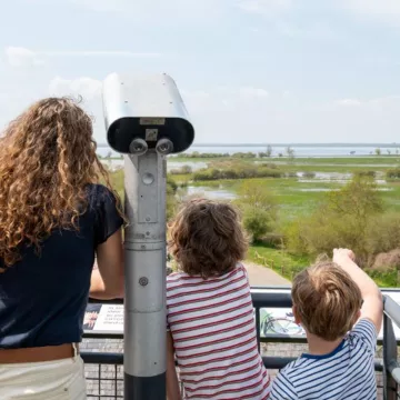 Ausflug rund um den See von Grand-Lieu, im Land der Vögel