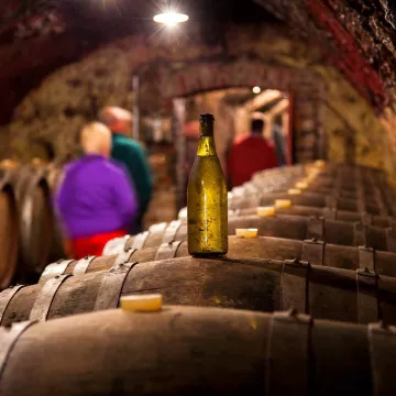Auf Erkundungsfahrt im Vallée du Loir zur Verkostung seiner fruchtigen Weiβweine