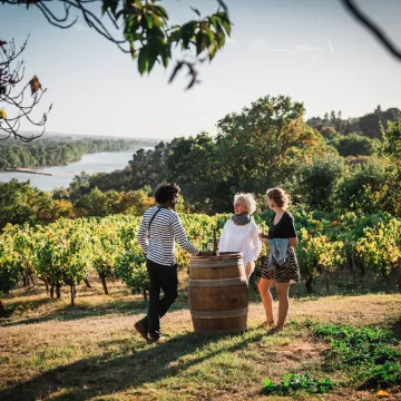 Die Loire im Grünen, zwischen Weinbergen und Kulturerbe 