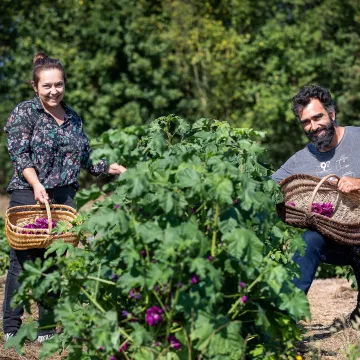 Labels für Tourismus auf dem Bauernhof oder in den Weinbergen in Pays de la Loire