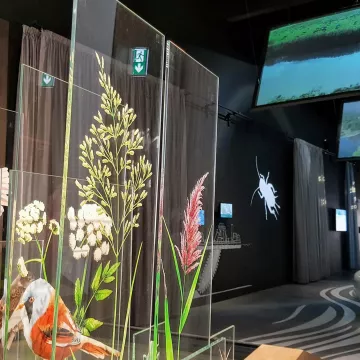 Zwei Besichtigungen in Saint-Nazaire und Umgebung, die Sie unbedingt machen sollten!