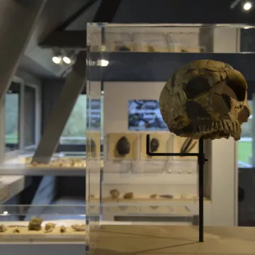 Musée de Préhistoire - Vallée des grottes de Saulges