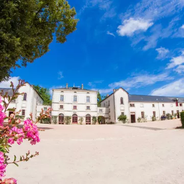 © Melanie Guillamot