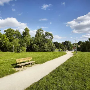 © Alexandre Lamoureux